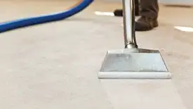 Carpet cleaning wand head gliding over a light carpet during hot-water extraction, Eugene, OR.