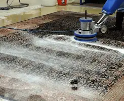 Professional rug cleaning with a rotary floor machine and shampoo foam, deep-cleaning an area rug, in Eugene, OR.