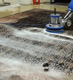 Professional rug cleaning with a rotary floor machine and shampoo foam, deep-cleaning an area rug Eugene, OR.